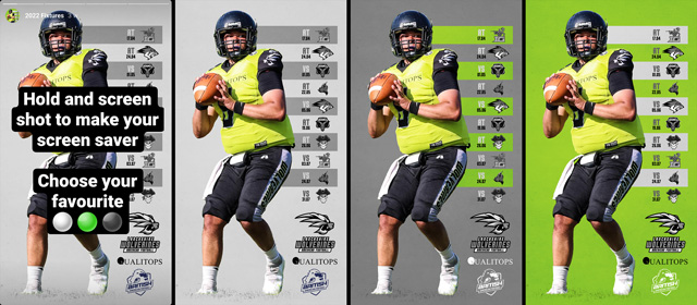 Wolverines Stories Screen Saver